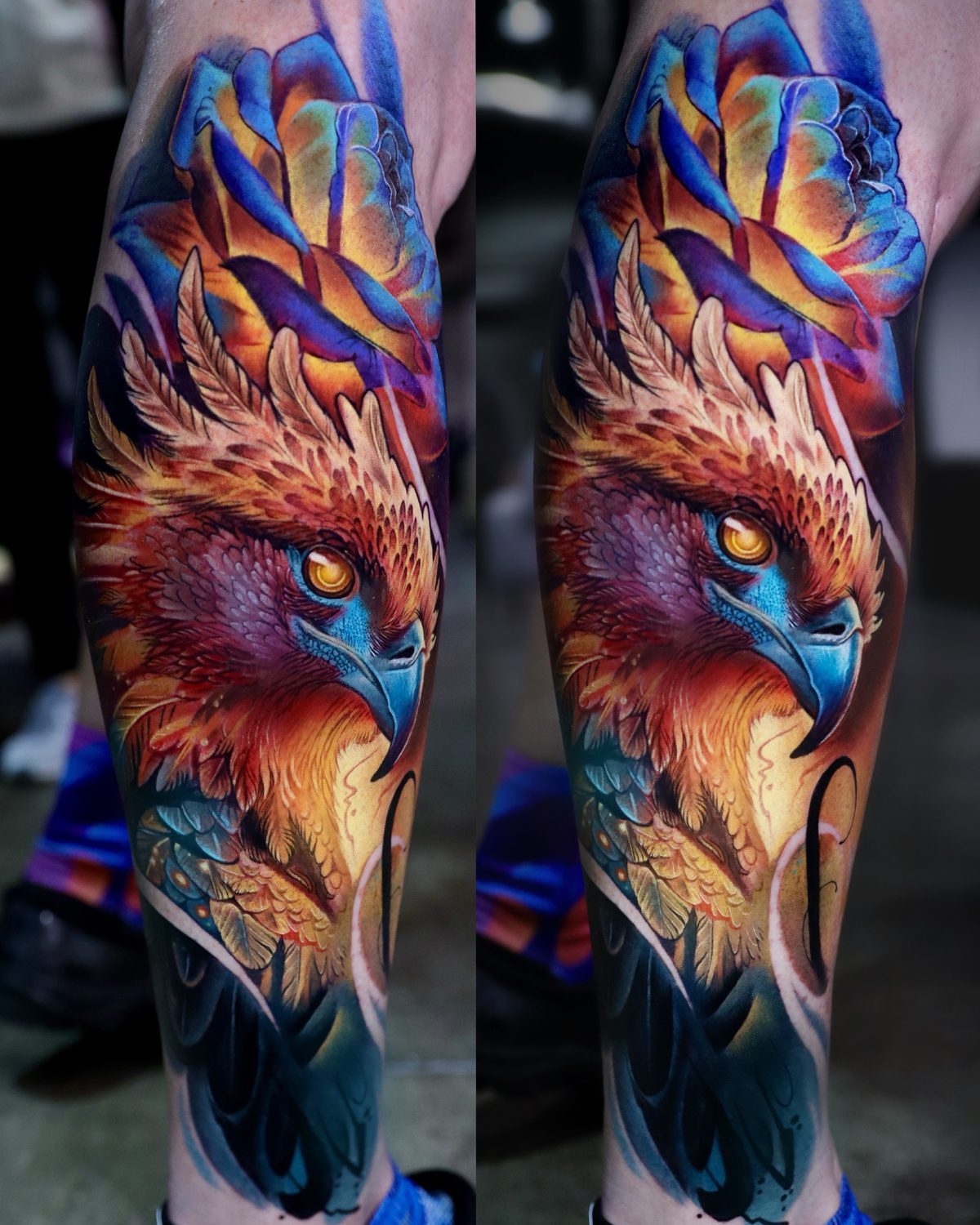 Bird of Prey